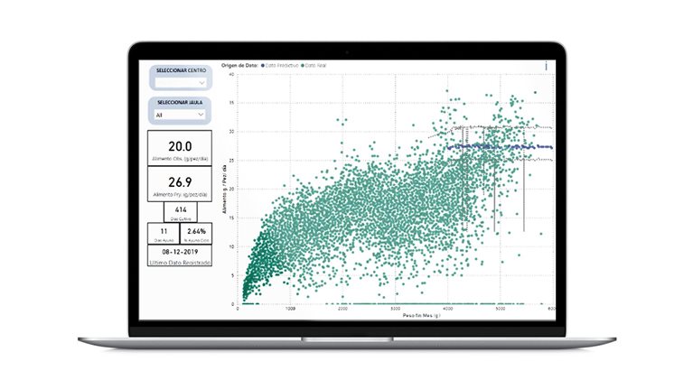 How a McKinsey team is making waves in aquaculture with advanced analytics