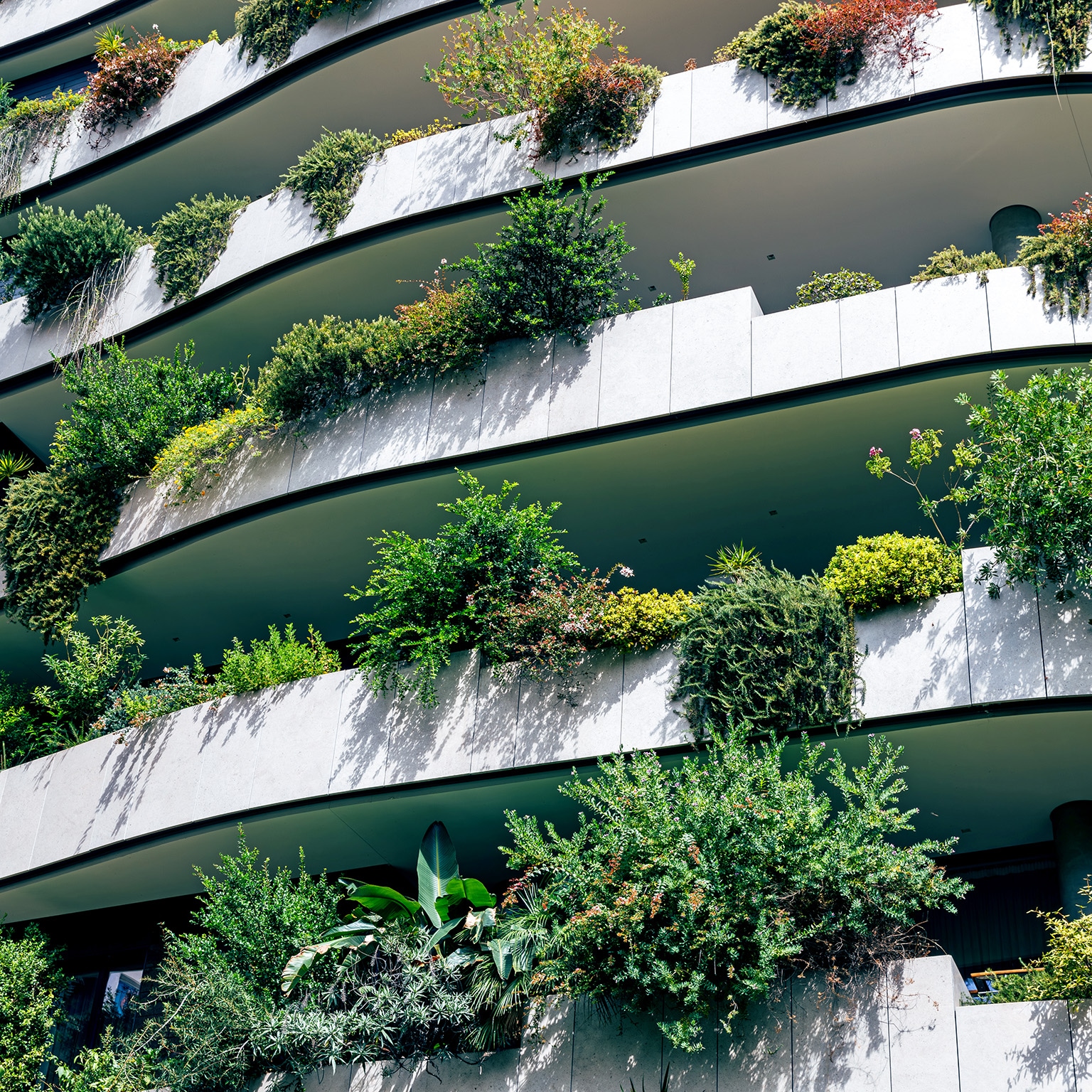 A modern building facade features multiple levels of curved balconies, each adorned with lush green plants and vibrant flowers. 